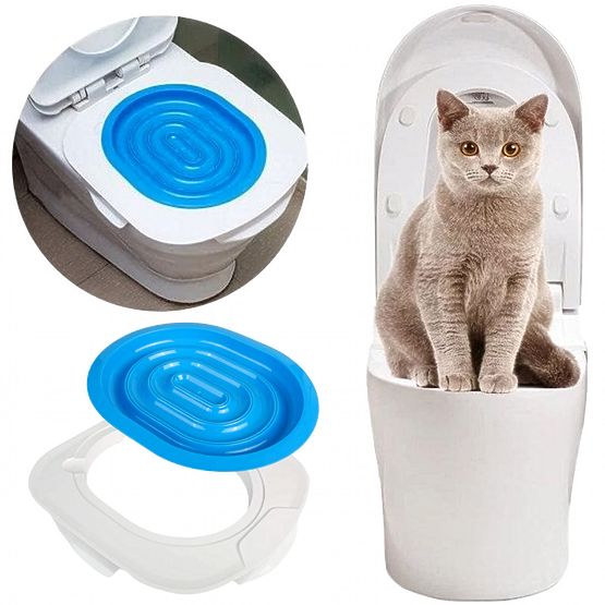 Adaptateur de toilette pour chats NILS bleu
