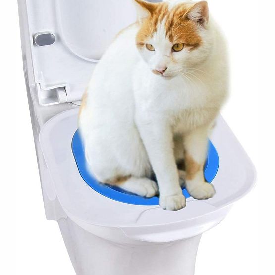 Adaptateur de toilette pour chats NILS bleu