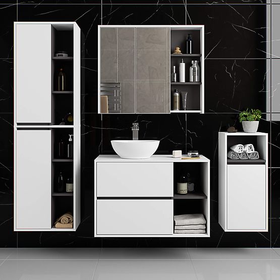 ARMOIRE DE SALLE DE BAIN SUSPENDUE VAMI W50 2D 6P BLANC / GRIS GRAPHITE