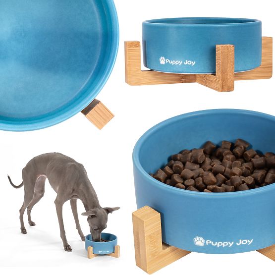 Bol en céramique pour chien ou chat bleu PJ-033