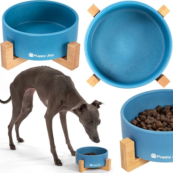 Bol en céramique pour chien ou chat bleu PJ-033