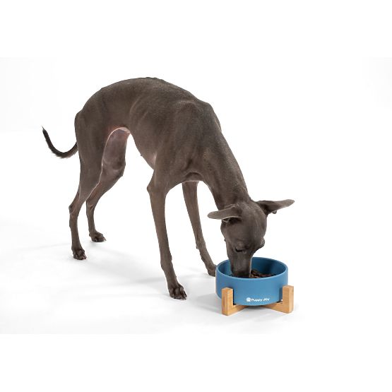 Bol en céramique pour chien ou chat bleu PJ-033