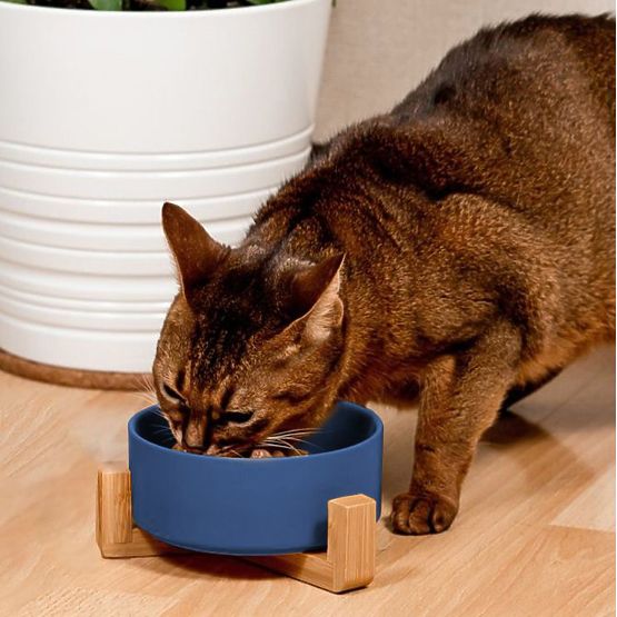 Bol en céramique pour chien ou chat bleu PJ-033