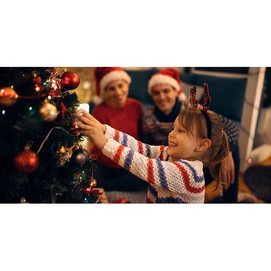 BOULES DE NOËL ROSES 34 PCS SYSD1688-026