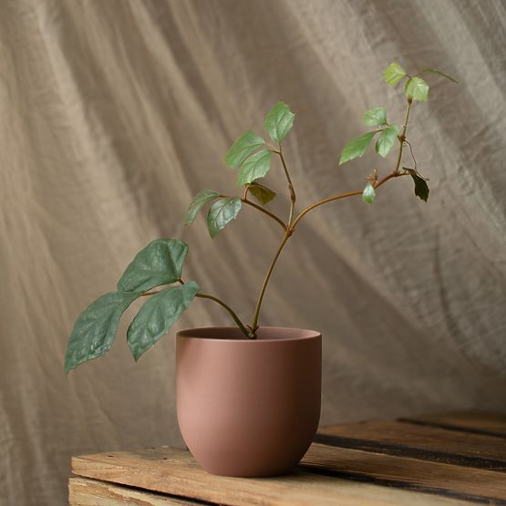 Cache-pot SHIRE couleur rose poudré style moderne pour intérieur ameliahome