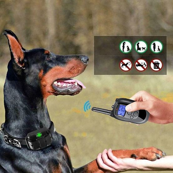 COLLIER D'ENTRAÎNEMENT ÉLECTRIQUE POUR CHIEN pj-098