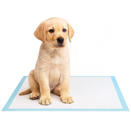 Coussins hygiéniques pour animaux BARRY 60x90 50 pcs