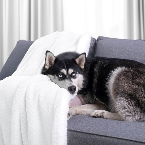 Couverture SHLEEPY couleur blanche avec motif jacquard style classique 130x180