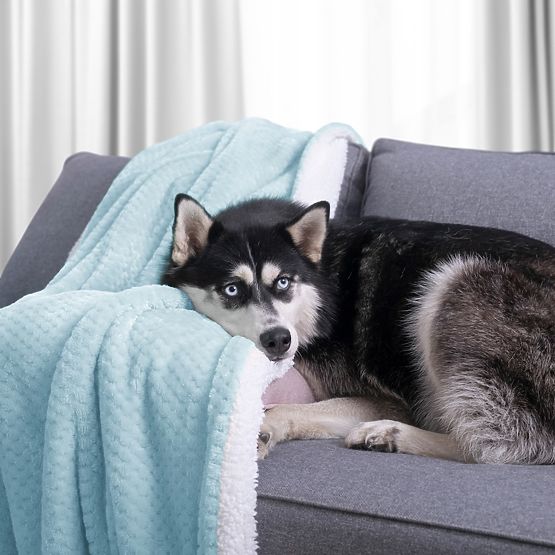 Couverture SHLEEPY couleur bleu clair motif jacquard style classique 70x150