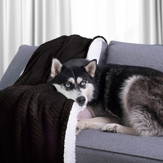 Couverture SHLEEPY noire avec motif jacquard style classique 130x180