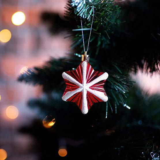 DÉCORATIONS DE NOËL ROUGE ET BLANC 78PCS SYSD1688-113