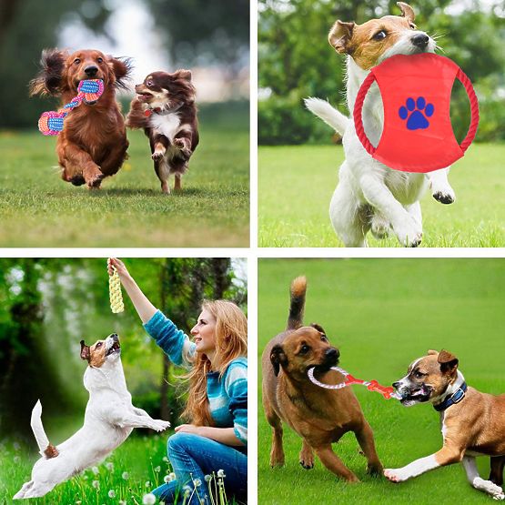 Ensemble de 10 jouets pour chiens DYLAN tir à la corde