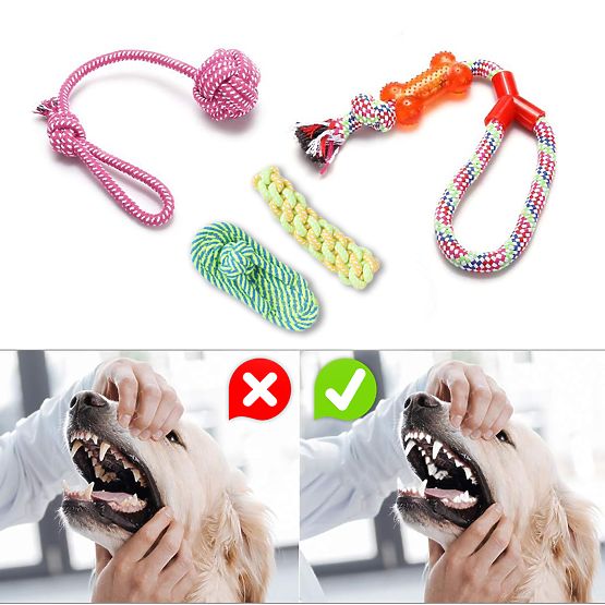 Ensemble de 10 jouets pour chiens DYLAN tir à la corde