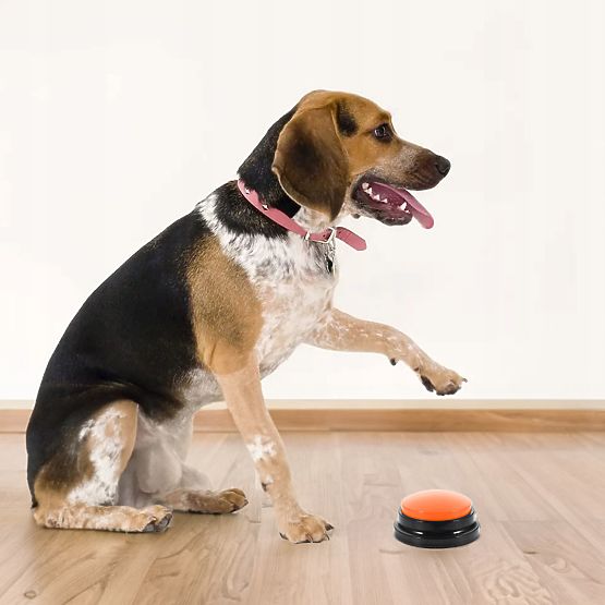 Ensemble de 4 boutons de communication pour chien TALKER