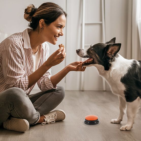 Ensemble de 4 boutons de communication pour chien TALKER