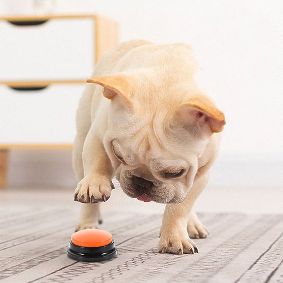 Ensemble de 4 boutons de communication pour chien TALKER