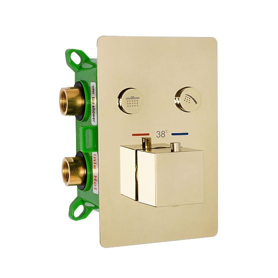 Ensemble de douche encastré avec thermostat FENIX DAVIS Or + BOX