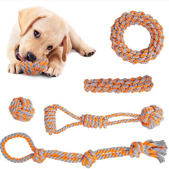 Ensemble de jouets à tirer pour chiens SPANKY 5 pièces