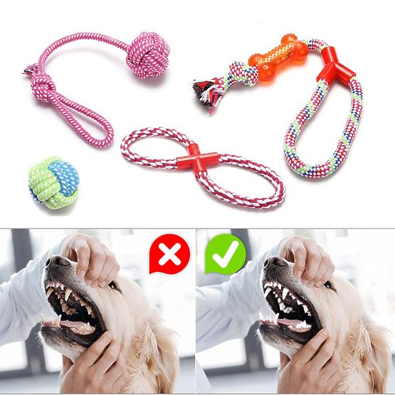 Ensemble de jouets à tirer pour chiens SPANKY 5 pièces