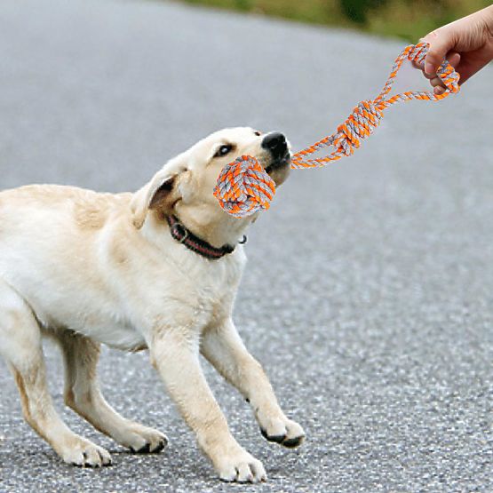 Ensemble de jouets à tirer pour chiens SPANKY 5 pièces