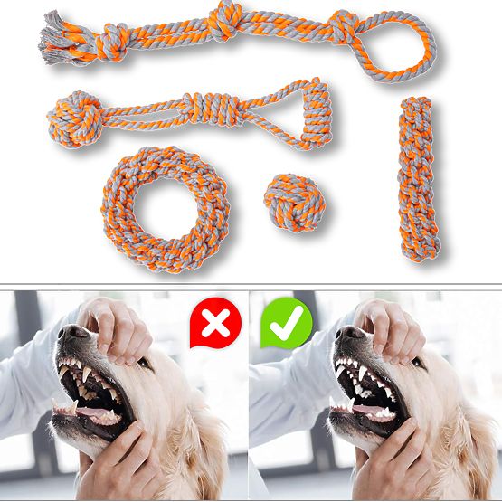 Ensemble de jouets à tirer pour chiens SPANKY 5 pièces