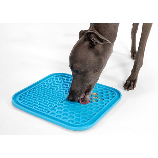 Ensemble de tapis anti-stress Lick Mat PJ-038
