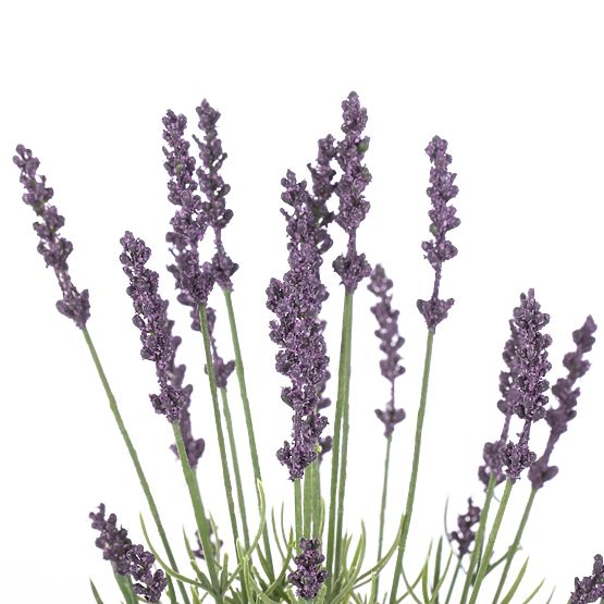 Fleur artificielle LAVI couleur violette style boho ameliahome