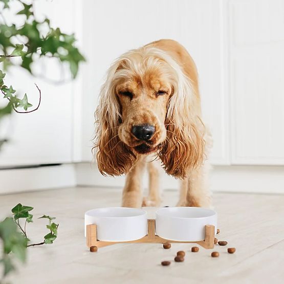 GAMELLE POUR NOURRITURE ET EAU POUR ANIMAUX BLANCHE 331579