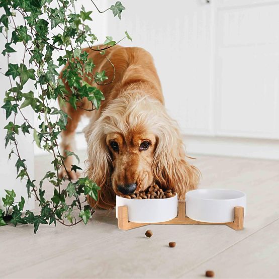 GAMELLE POUR NOURRITURE ET EAU POUR ANIMAUX BLANCHE 331579