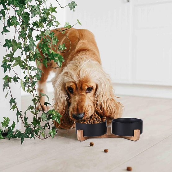 GAMELLE POUR NOURRITURE ET EAU POUR ANIMAUX NOIRE 331579