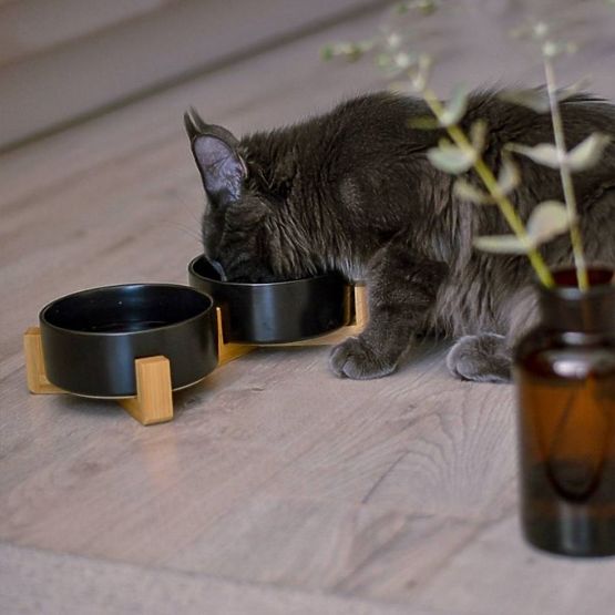 GAMELLE POUR NOURRITURE ET EAU POUR ANIMAUX NOIRE 331579