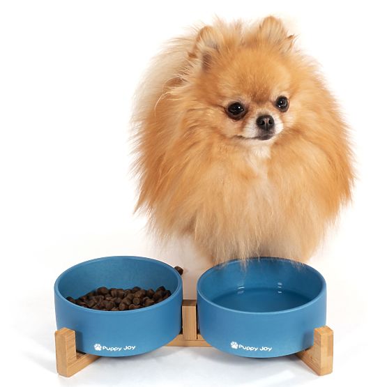 Gamelles en Céramique pour Chien ou Chat Bleues PJ-080