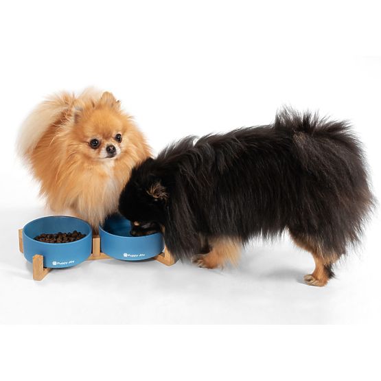 Gamelles en Céramique pour Chien ou Chat Bleues PJ-080
