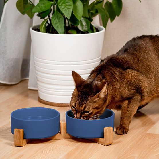 Gamelles en Céramique pour Chien ou Chat Bleues PJ-080