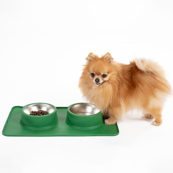 Gamelles en Métal pour Chien ou Chat avec Tapis Antidérapant Vert PJ-087