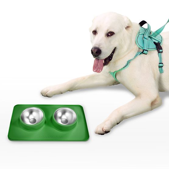 Gamelles en Métal pour Chien ou Chat avec Tapis Antidérapant Vert PJ-087