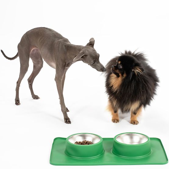 Gamelles en Métal pour Chien ou Chat avec Tapis Antidérapant Vert PJ-087