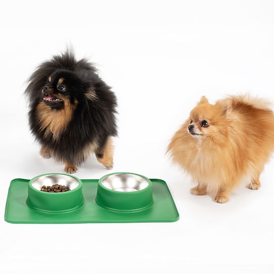 Gamelles en Métal pour Chien ou Chat avec Tapis Antidérapant Vert PJ-087