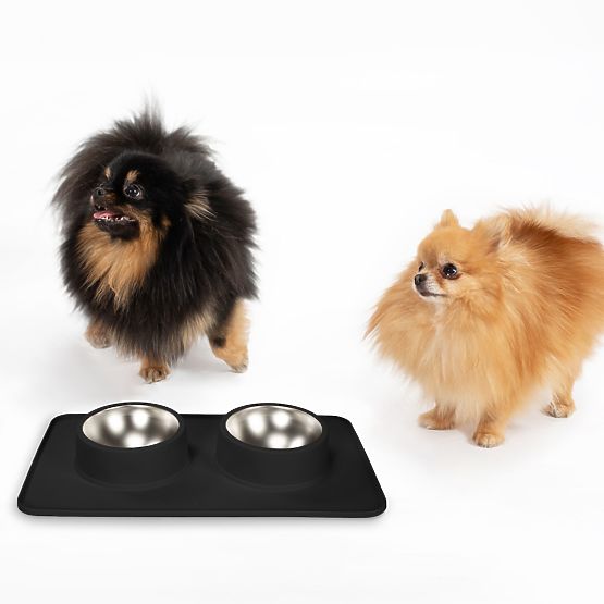 Gamelles Métalliques pour Chien ou Chat avec Tapis Antidérapant Noir PJ-086