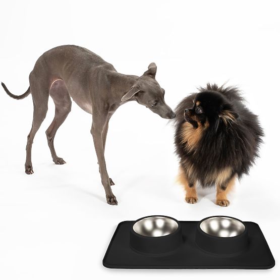 Gamelles Métalliques pour Chien ou Chat avec Tapis Antidérapant Noir PJ-086