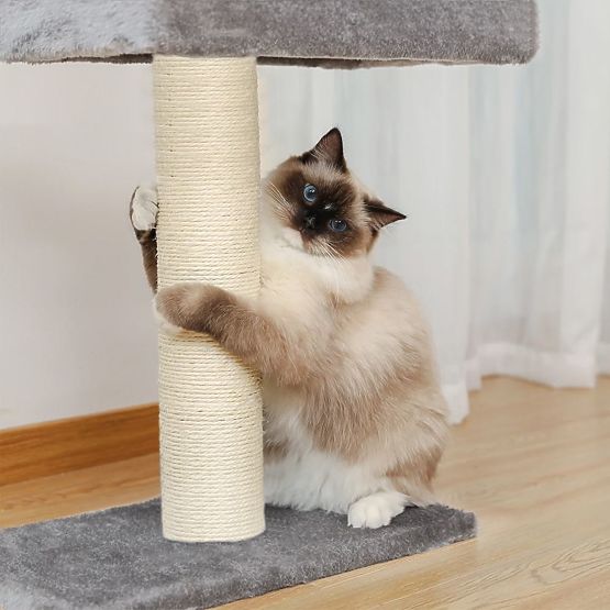 GRIFFOIR DE PLAFOND POUR CHATS GRIS P70374