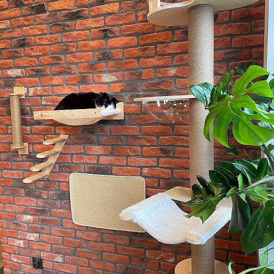 GRIFFOIR MURAL POUR CHATS 332526