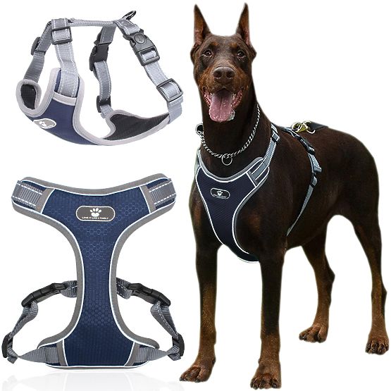 Harnais d'entraînement pour chien ASTRO bleu marine taille XL