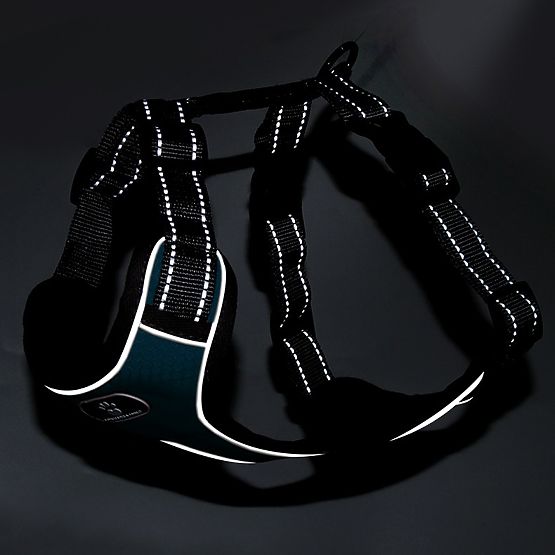 Harnais d'entraînement pour chien ASTRO bleu marine taille XL