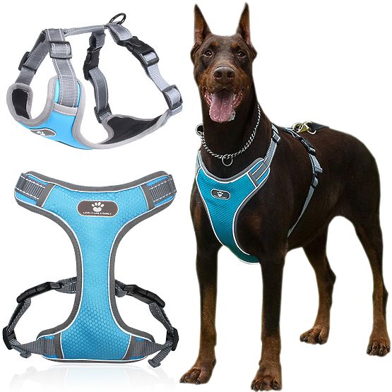 Harnais d'entraînement pour chien ASTRO bleu taille XL