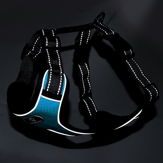 Harnais d'entraînement pour chien ASTRO bleu taille XL