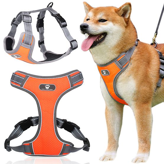 Harnais d'entraînement pour chien ASTRO orange taille L