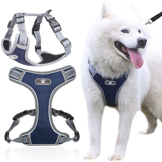 Harnais d'entraînement pour chiens ASTRO bleu taille L