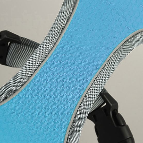 Harnais d'entraînement pour chiens ASTRO bleu taille L