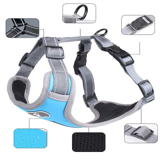 Harnais d'entraînement pour chiens ASTRO bleu taille M